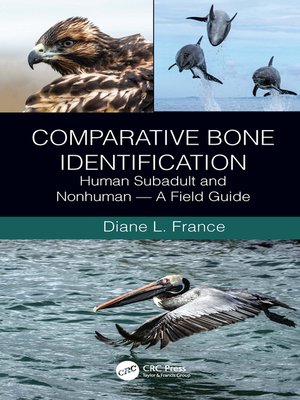 cover image of Comparative Bone Identification